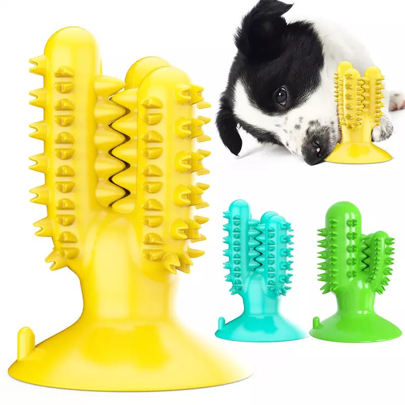 Juguete Mordedor Dental Cactus para Perros