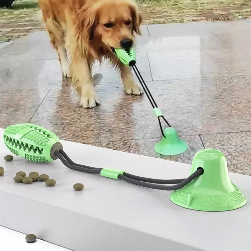 Juguete Dental con Ventosa y Dispensador para Perros
