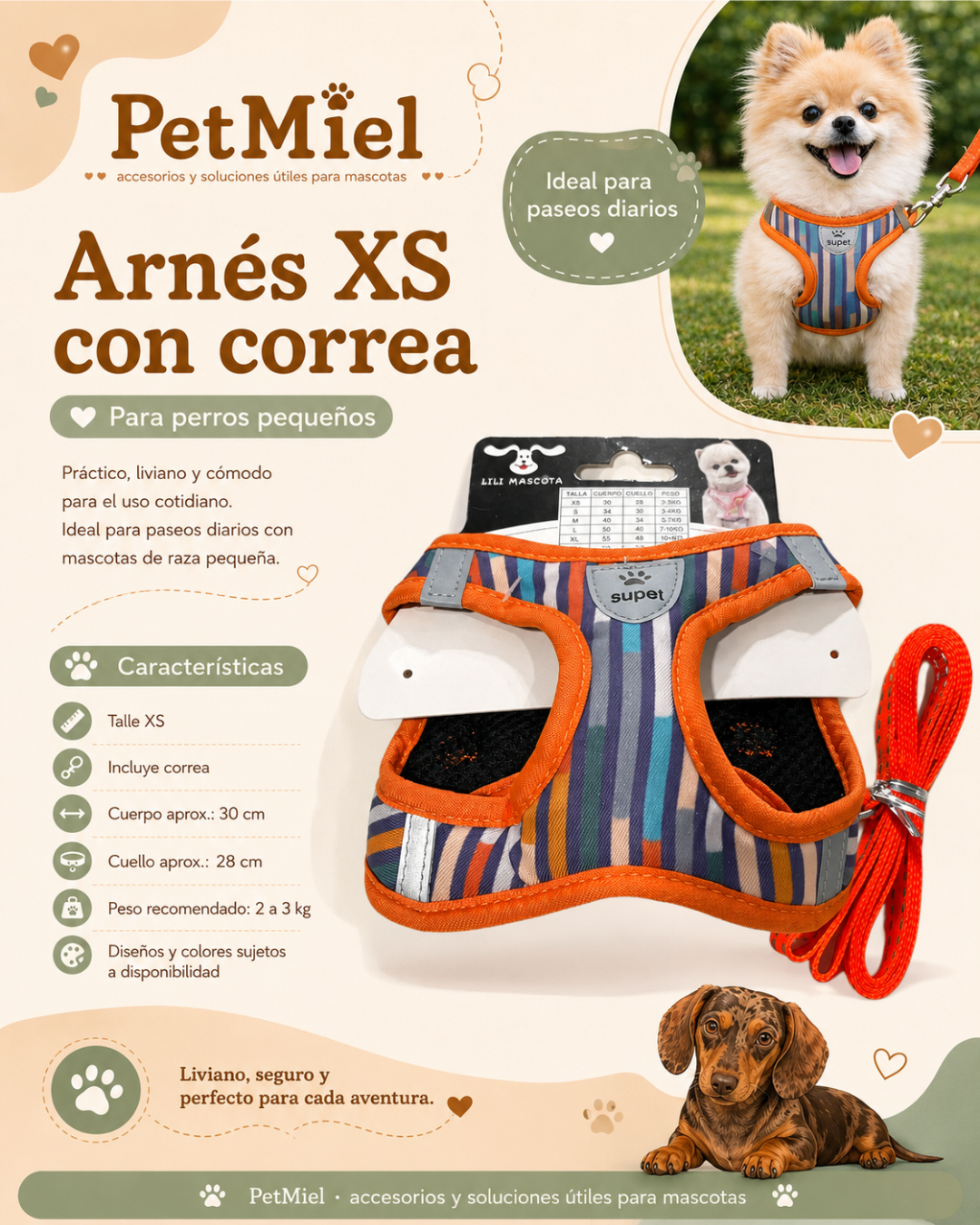 Arnés XS con correa para perros pequeños
