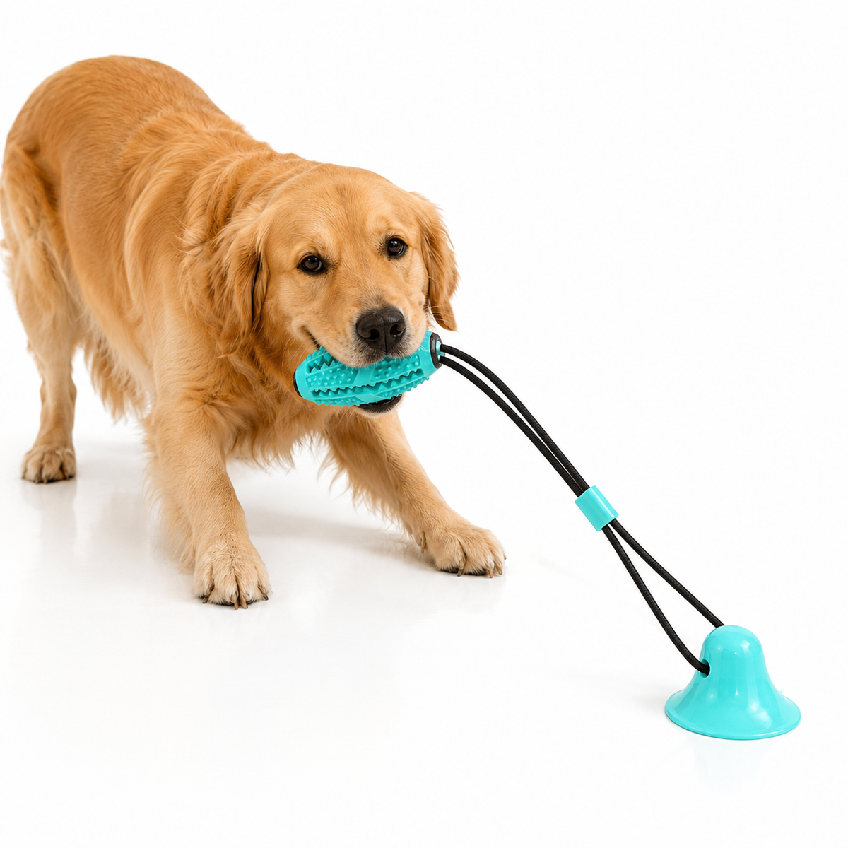 Juguete Dental con Ventosa y Dispensador para Perros