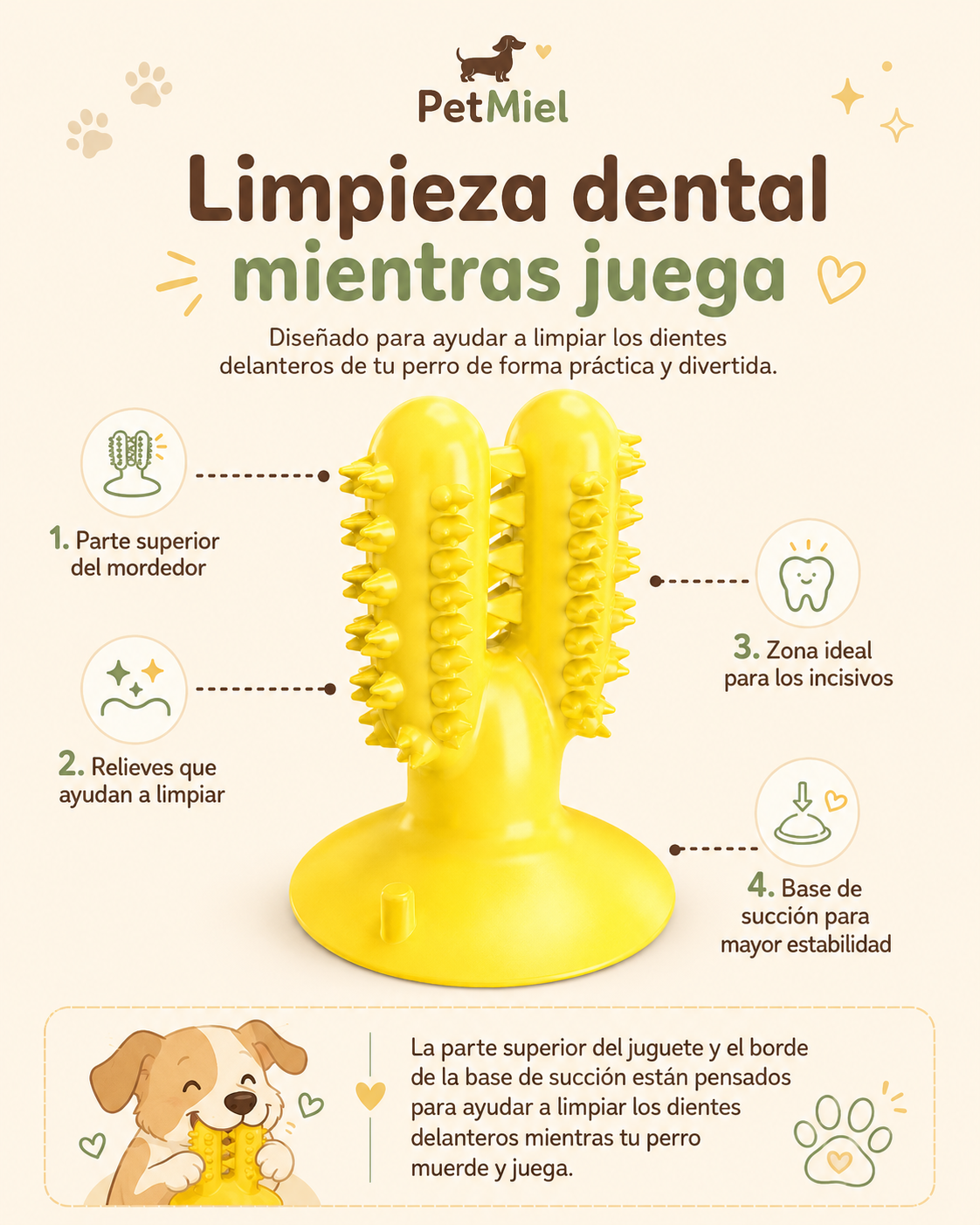 Juguete Mordedor Dental Cactus para Perros